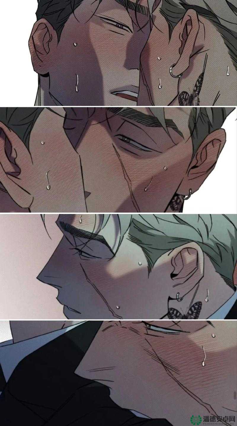 车速超快的双男主:激情燃烧的速度与激情